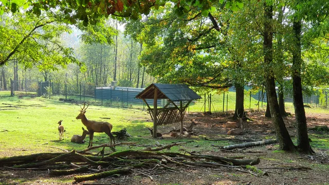 Wildfreigehege Wolfsrath