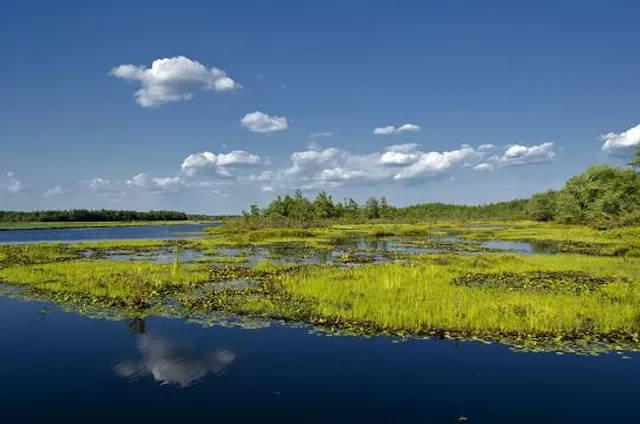 New Jersey Pinelands National Reserve