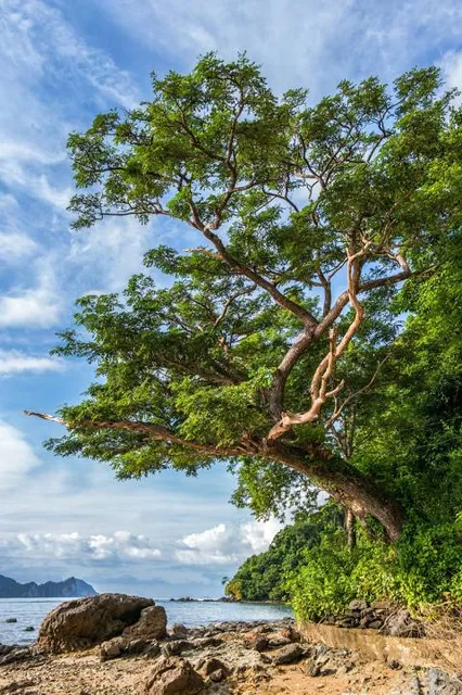 LHOKNGA Sea Side Resort