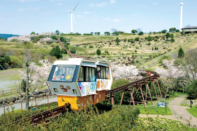 Sazankakogen Picnic Park