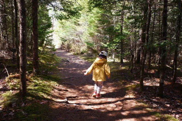 MacElmon's Pond Provincial Park