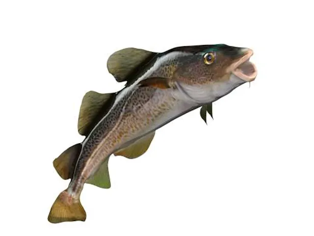 photo-1