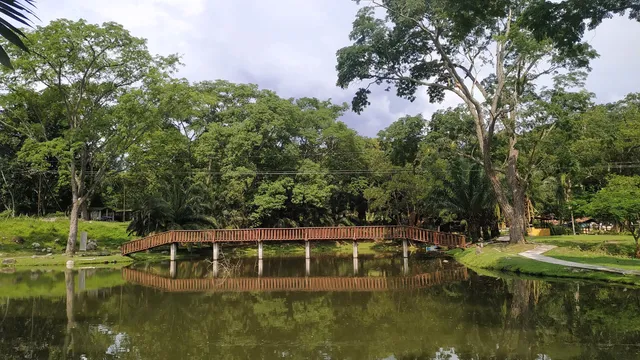 Los Tamarindos - Comfenalco Antioquia Park