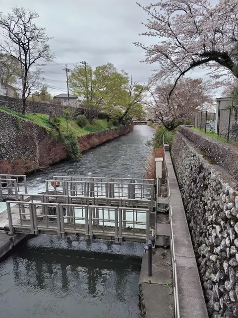 Hamurakusabanakyuryo Natural Park