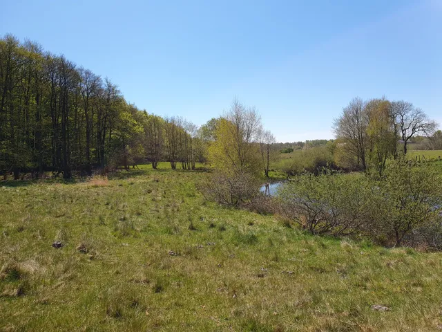 The nature reserve Risen