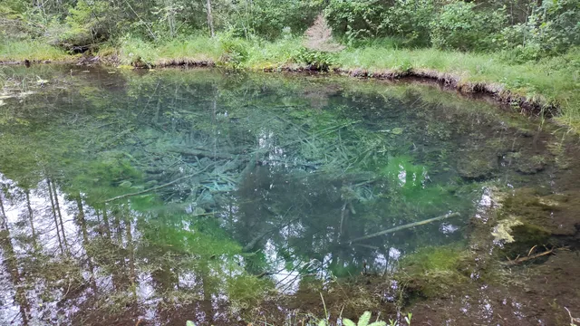 Puhta vee teemapark, Pure water theme park, Puhtaan Veden Teemapuisto