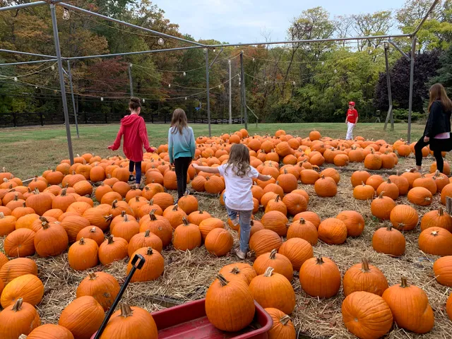 Krop's Crops and Vintage Marketplace