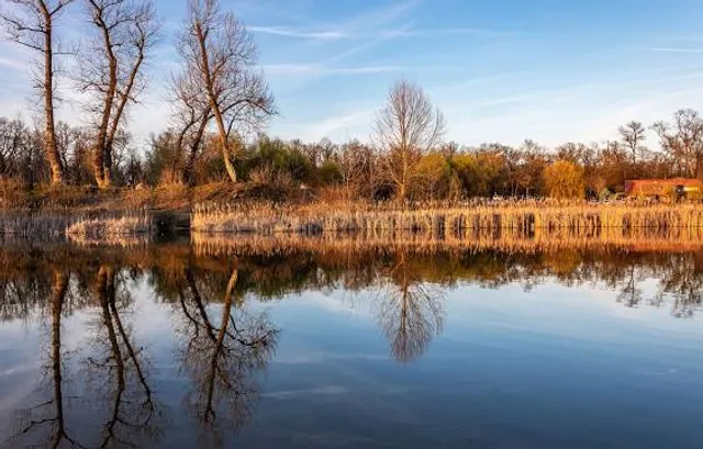 Mures Floodplain Natural Park