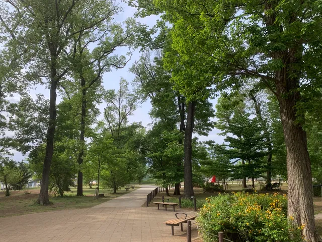 Uenoharahigashi Park