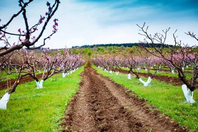 Musee Departemental D Art Contemporain Chateau De Rochechouart