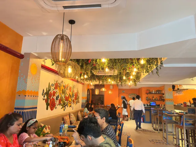 Miss Margarita (Delhi)