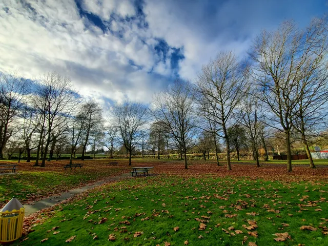 Tividale Park