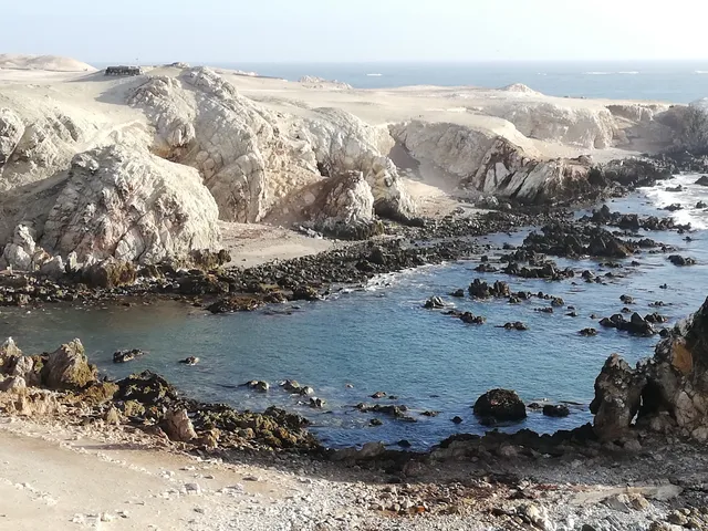 Ingreso a la Reserva Nacional Sistema de Islas, Islotes y Puntas Guaneras - Punta San Juan