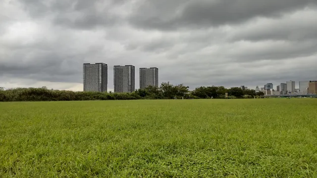 Tamagawa Rokugō Bridge Green Space