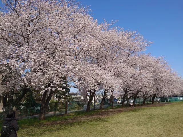 Higashinakanofureai Park
