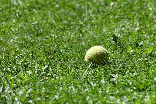 photo-3
