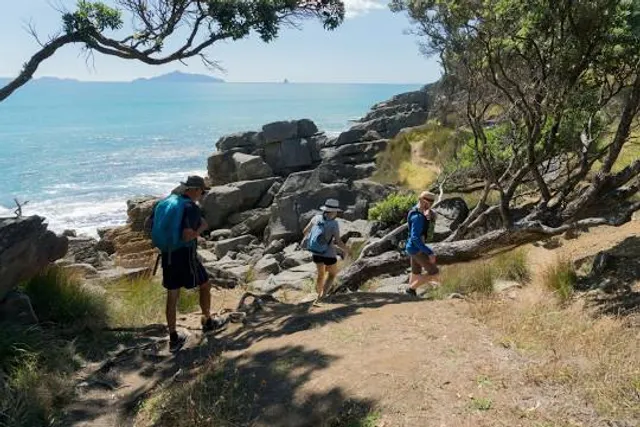 Waipu Coastal Walkway