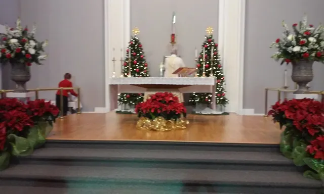 photo-1