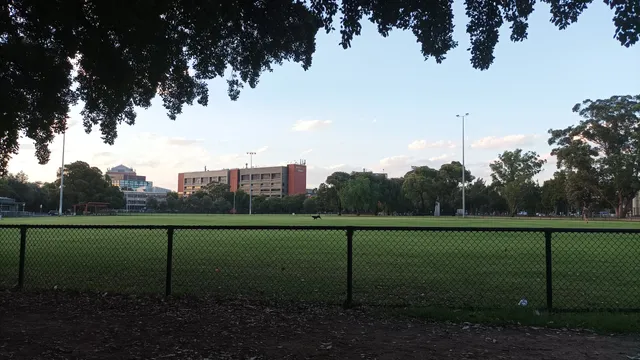 East Caulfield Reserve