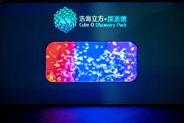 Cube O Discovery Park