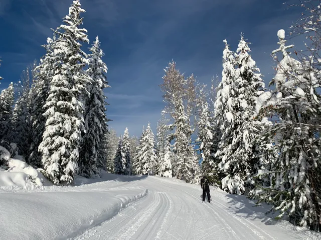 Black Jack Ski Club
