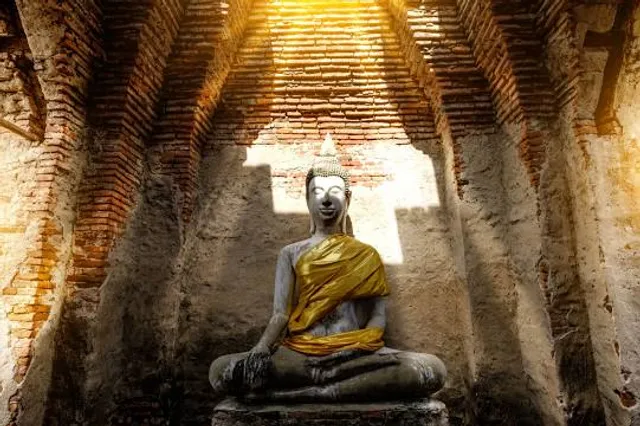 Adega-Museu Cella Vinaria Antiqua