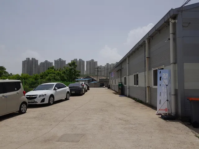 뚜루실내바다낚시터 일산본점