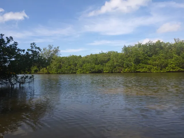 Jim Neville Marine Preserve