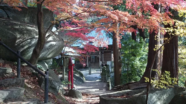photo-1