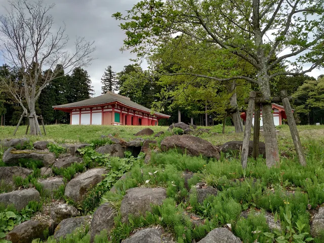 photo-2