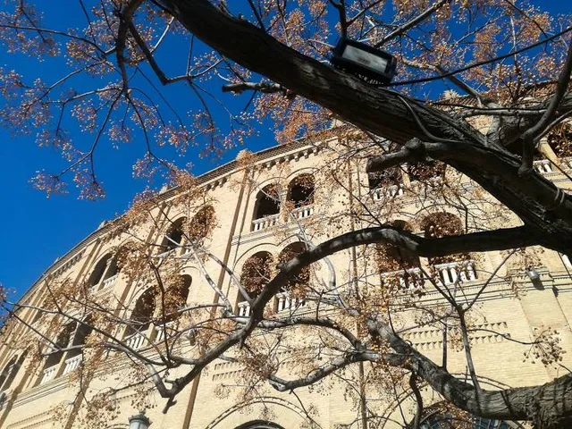 Plaza de Toros de Granada