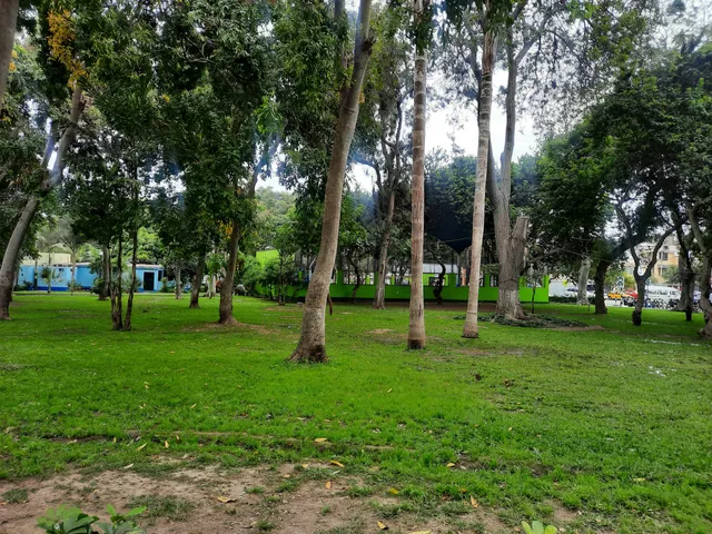 Mariscal Ramon Castilla Park