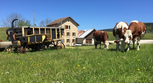 Musée de la Meunerie et d'histoire locale