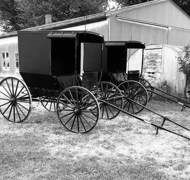 Bluffscape Amish Tours