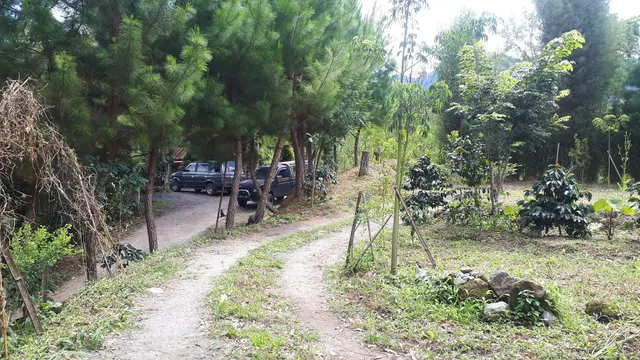 Pentago Garden - Permata Dataran Tinggi Gayo