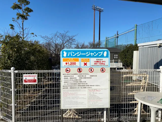 バンジージャンプ