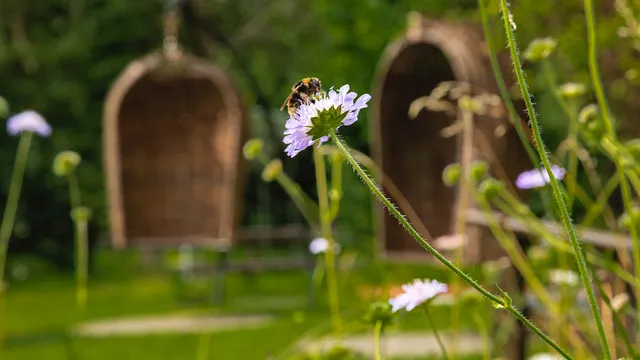 Brigit's Garden & Café