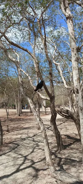 Loh Liang - Komodo National Park