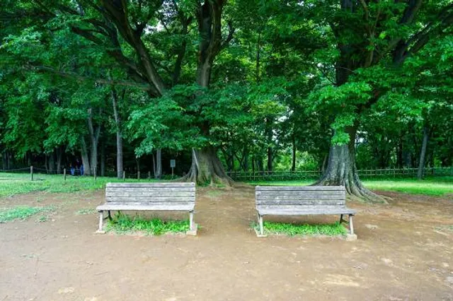 Otsuka-Saikachido Archeological Park