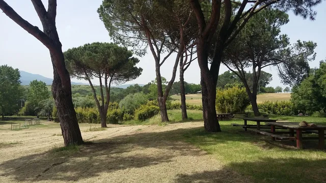 Selva di Paliano e Mola di Piscoli