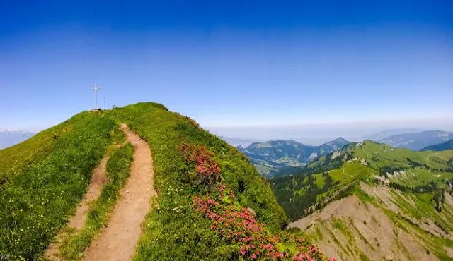 Gemeinde Zwischenwasser