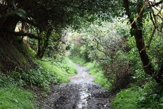 Bosnian Pyramid of Love