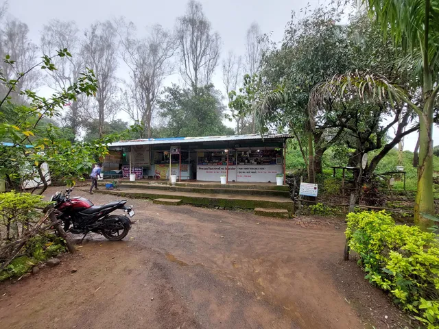 Honey bee center Saputara