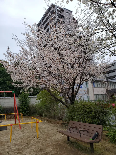 photo-1