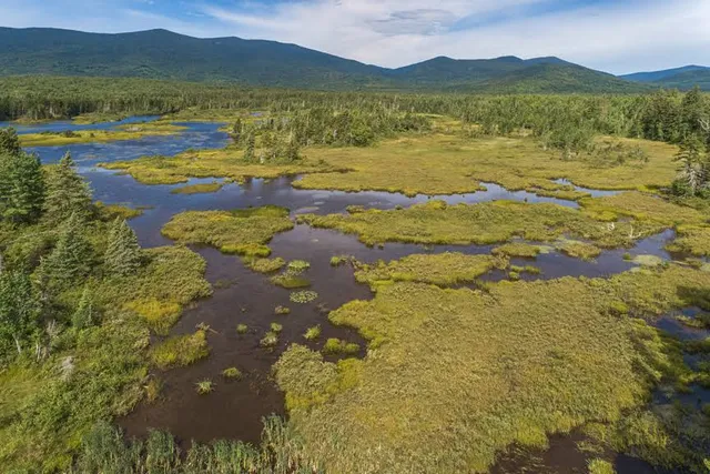 Stetsontown Township