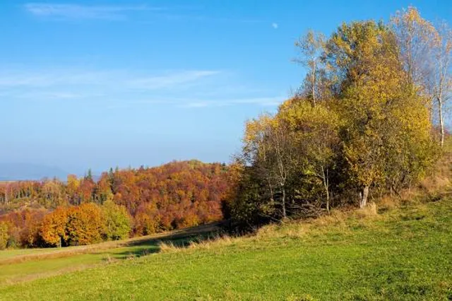Poľana Protected Landscape Area