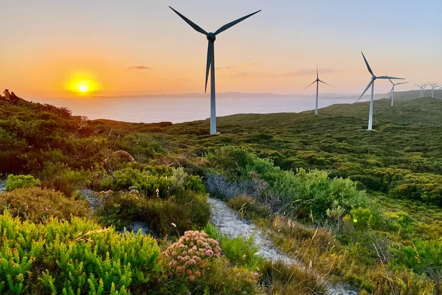 Albany Wind Farm