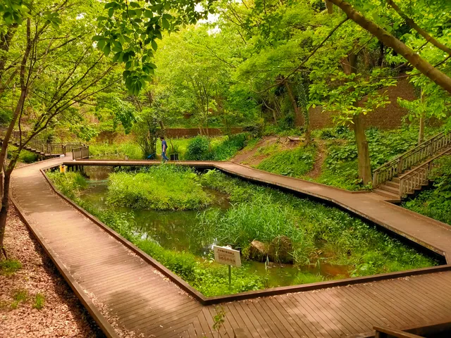 Miyamaeutsukushinomori Park
