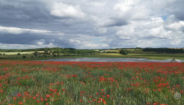 National Park Skjoldungernes Land