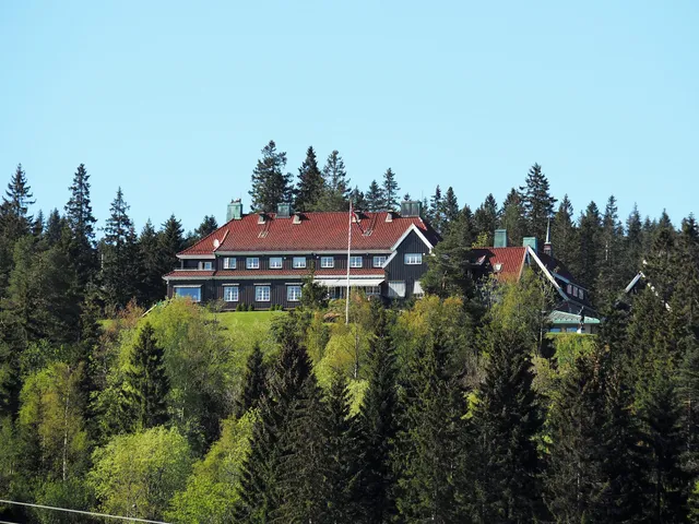 photo-2